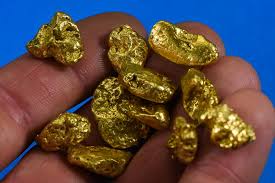 Gold Nugget